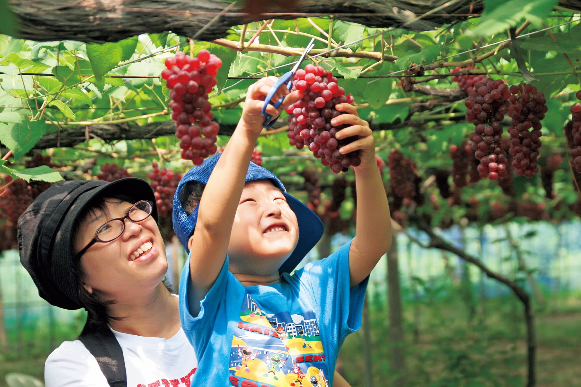 🍓 가가 과일 농원(카가 후르츠란도)